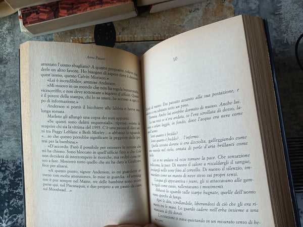 Brucerai all’inferno | Anna Pavani