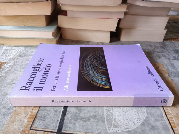 Raccogliere il mondo. Per una fenomenologia della Rete | Adriano Ardovino