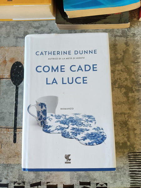 Come cade la luce | Catherine Dunne - Guanda