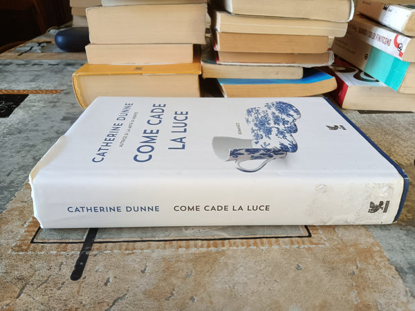 Come cade la luce | Catherine Dunne - Guanda