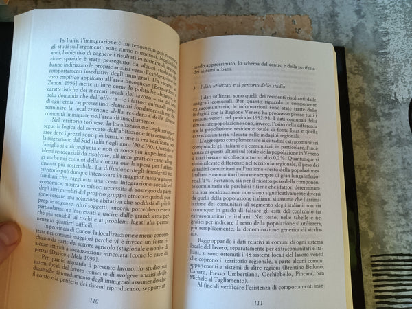 Stranieri in Italia. Un’immigrazione normale | G. Sciortino; A. Colombo, a cura di - Mulino