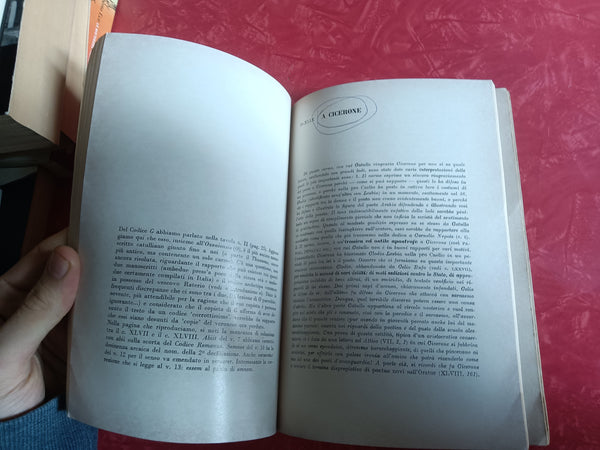 Catullo | Emidio Diletti