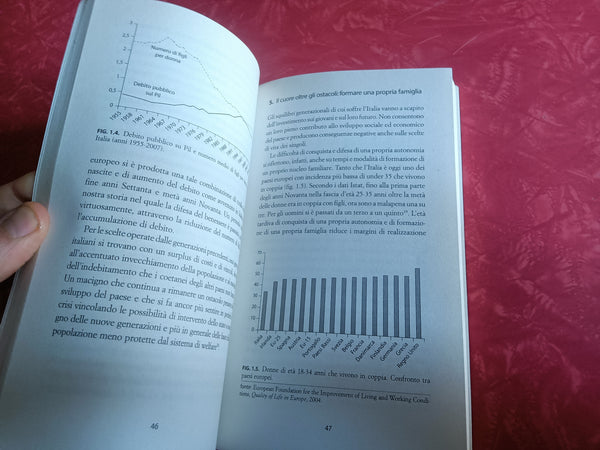 Famiglie sole. Sopravvivere con un welfare inefficiente | Daniela Del Boca; Alessandro Rosina - Mulino