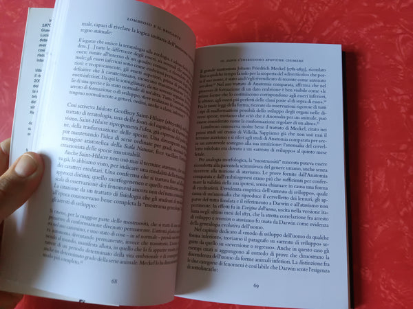 Lombroso e il brigante. Storia di un cranio conteso | Milicia Maria Teresa