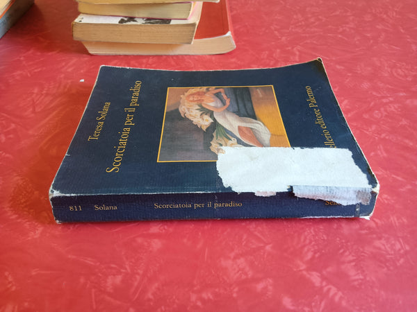 Scorciatoia per il paradiso | Teresa Solana - Sellerio