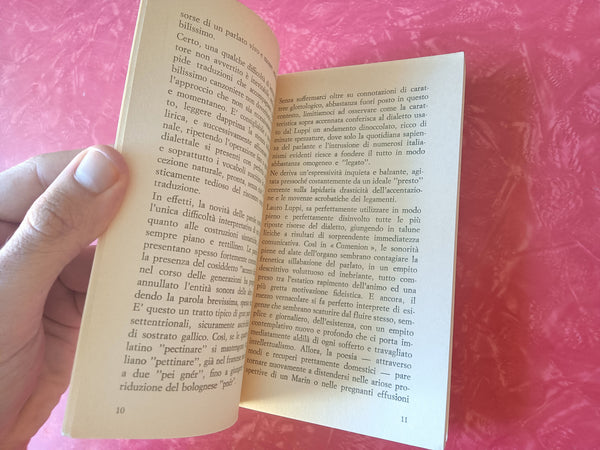 Stupidêdi | Lauro Luppi