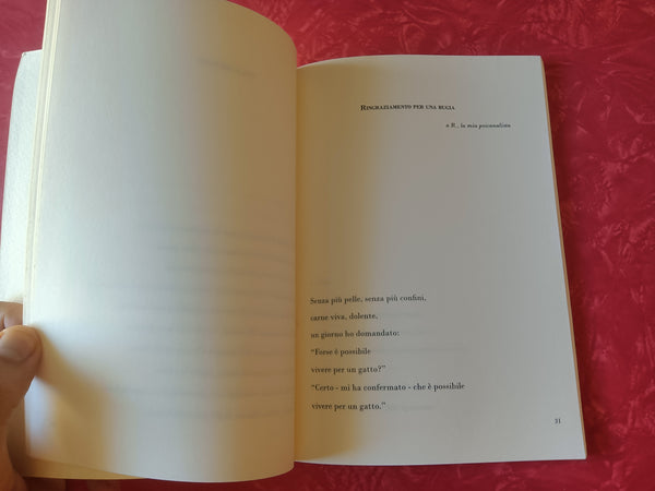 Clemenza dell’inverno | Cinzia dell’inverno