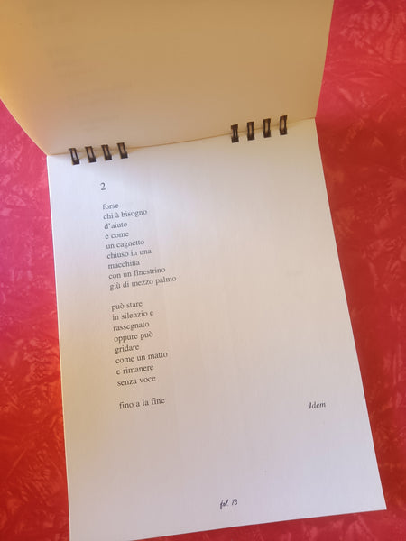 Verziere | Fabio Barricalla