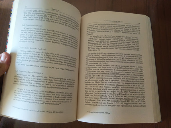 Le strutture del lessico etimologico italiano | Marcello Aprile