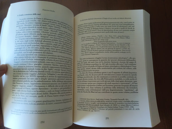 Lessicografia storica dialettale e regionale | Michele A. Cortelazzo, Silvia Morgana; Massimo Prada