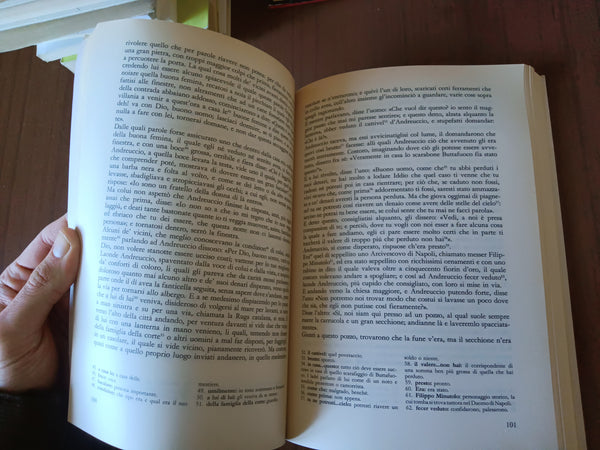 Il comico nella letteratura | Elena De Paolis