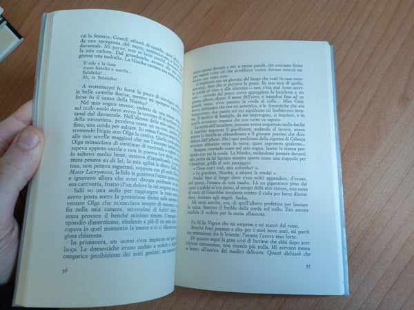 Il pappagallo verde | Principessa Bibesco - Sellerio