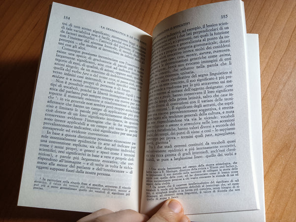 Il linguaggio | Carla Schick - Einaudi