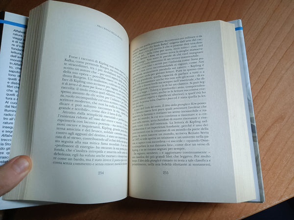 Alfabeti. Saggi di letteratura | Claudio Magris - Garzanti