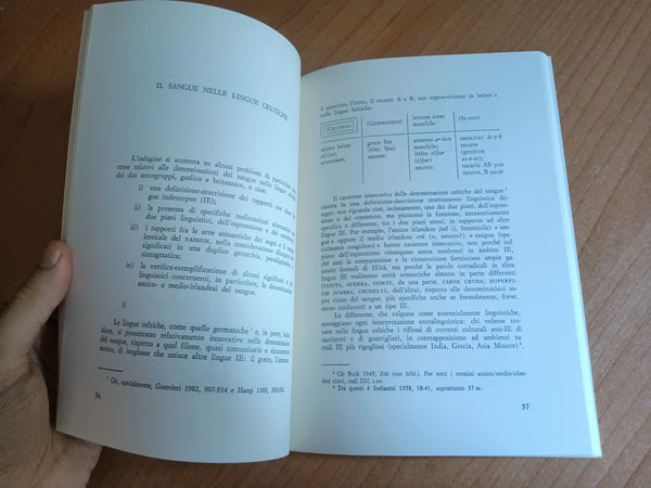 La parola, il testo e la cultura linguistica e antropologia del sangue | U. Rapallo
