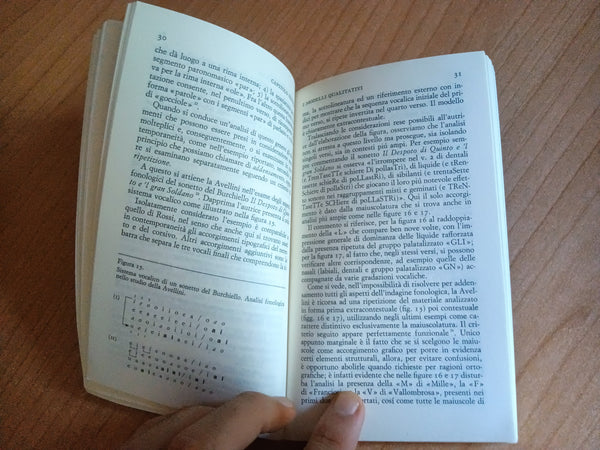 Modelli grafici e critica letteraria | Alessandro Finzi - Einaudi