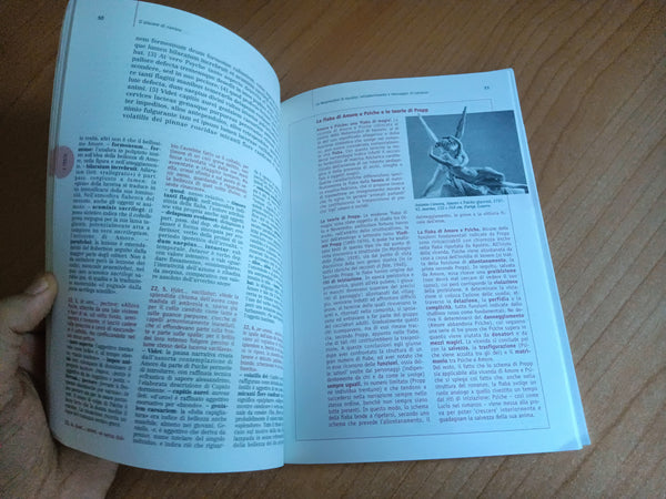 Il piacere di narrare. Il testo narrativo in Petronio e Apuleio | Elena Sada, a cura di