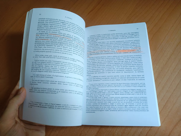 Oltre la soglia. Fantastico, sogno e femminile nella letteratura italiana e dintorni | Annamaria Cavalli