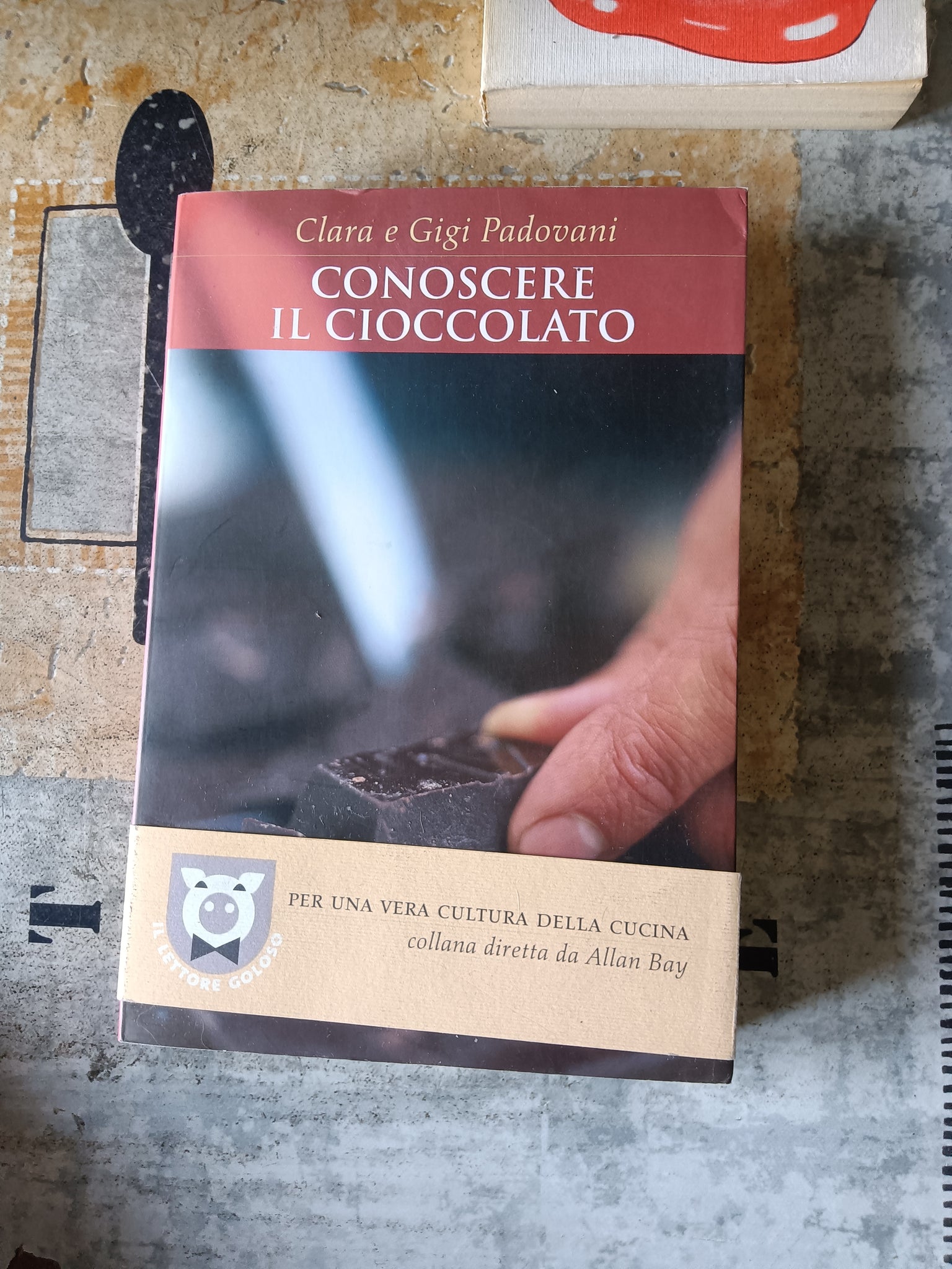 Conoscere il cioccolato | Clara e Gigi Padovani