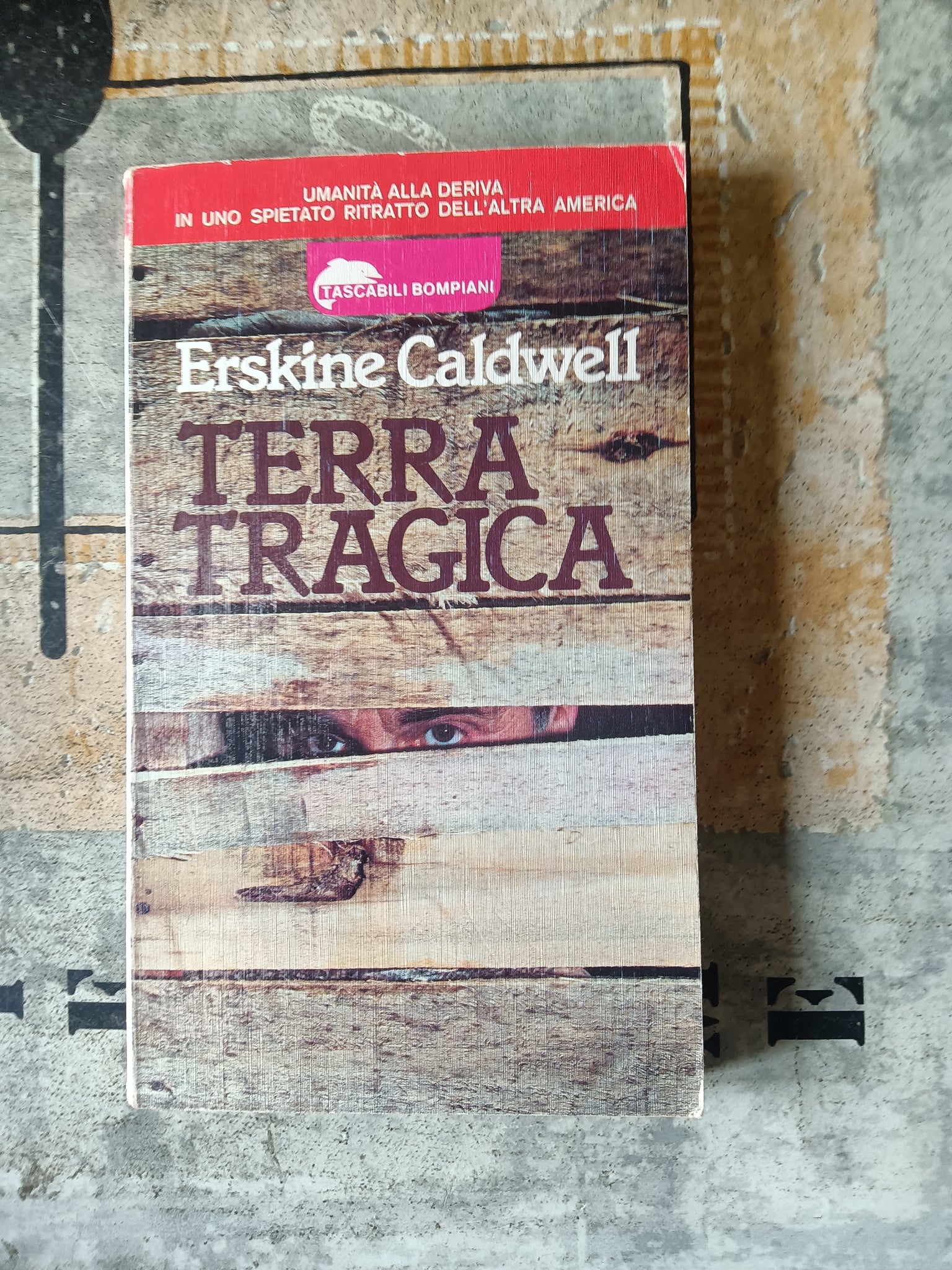 Terra tragica | E. Caldwell - Bompiani