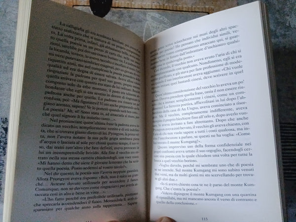 Il poeta | Yi Munrol