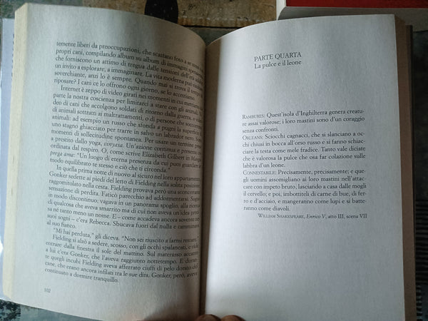 Smarrito cane | Pauls Toutonghi - Bompiani