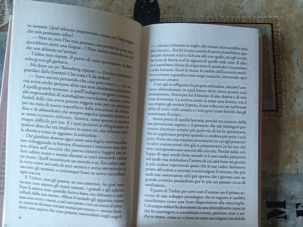 I turbamenti del giovane Torless | Robert Musil