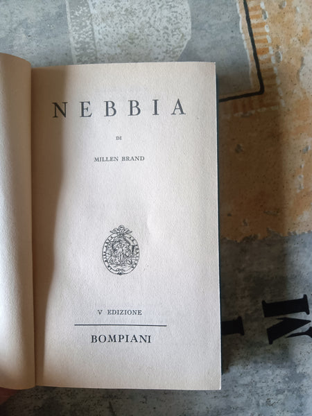 Nebbia | Millen Brand