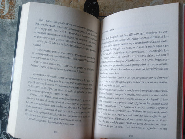 L’anima ciliegia | Lia Levi