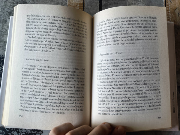 Il Bel Paese maltrattato. Viaggio tra le offese ai tesori d’Italia | Roberto Ippolito - Bompiani