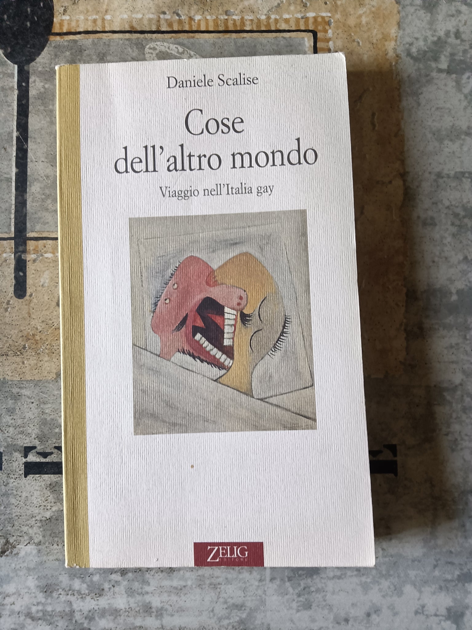 Cose dell’altro mondo. Viaggio nell’italia gay | Daniele Scalise
