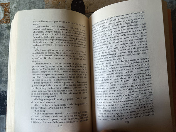 Muo e la vergine cinese | Dai Sijie - Adelphi