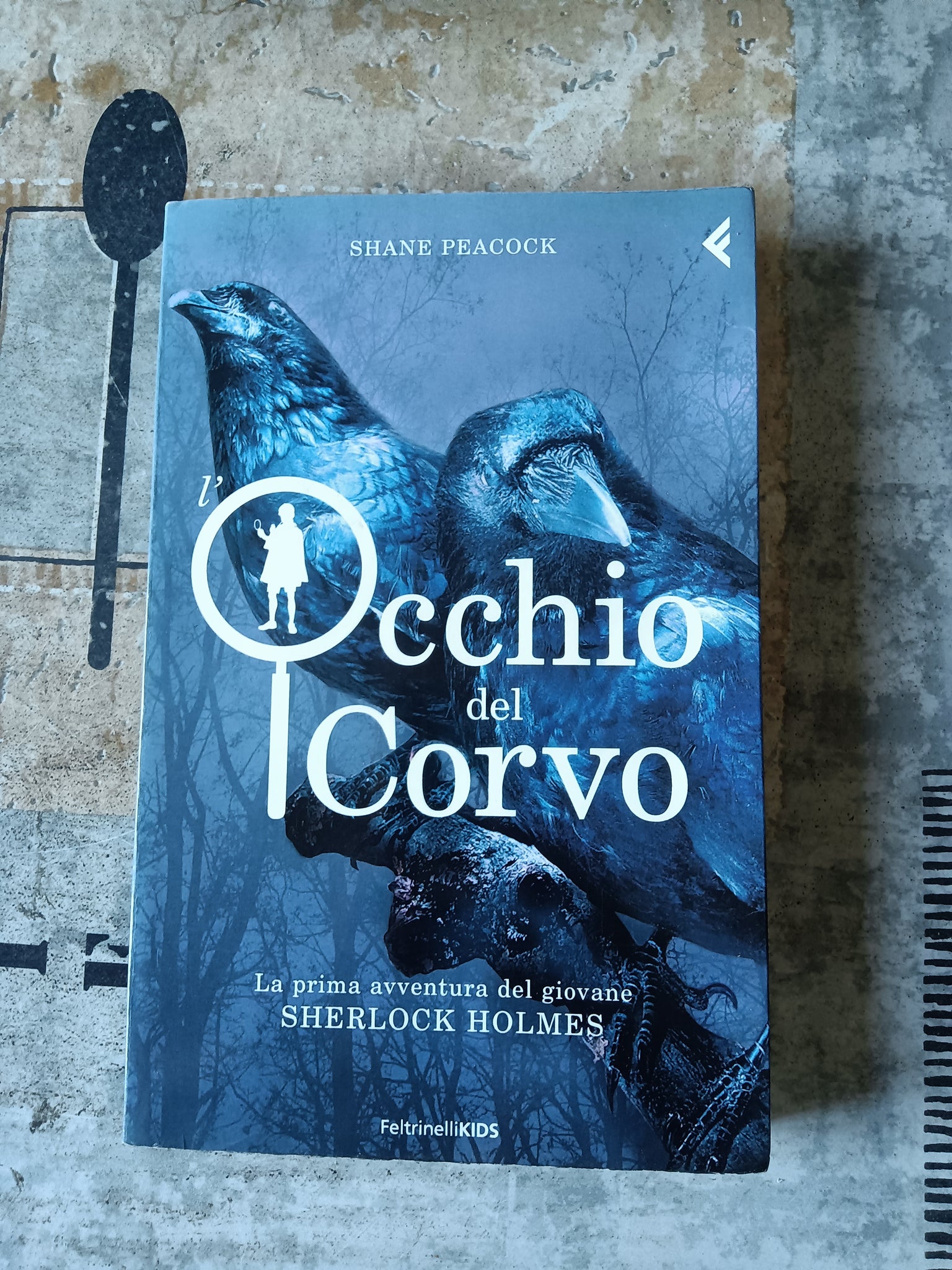 L’ occhio del corvo. La prima avventura del giovane Sherlock Holmes | Shane Peacock - Feltrinelli