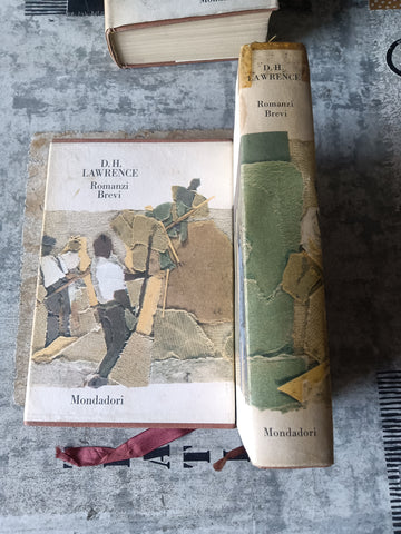 Romanzi brevi e frammenti di romanzo | D.H. Lawrence - Mondadori