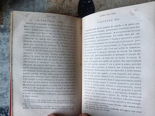 Dell’ira | Seneca
