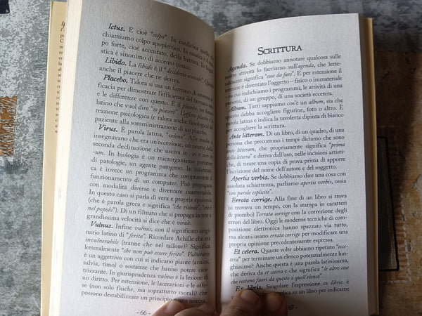 Ipse Dixit. Pillole di saggezza latina ad uso quotidiano | Gian Domenico Mazzocato