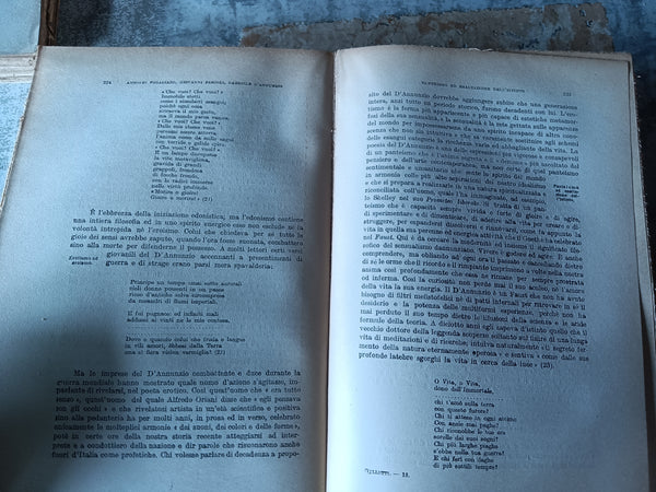 Storia letteraria d’Italia. Il Novecento | Alfredo Galletti, a cura di