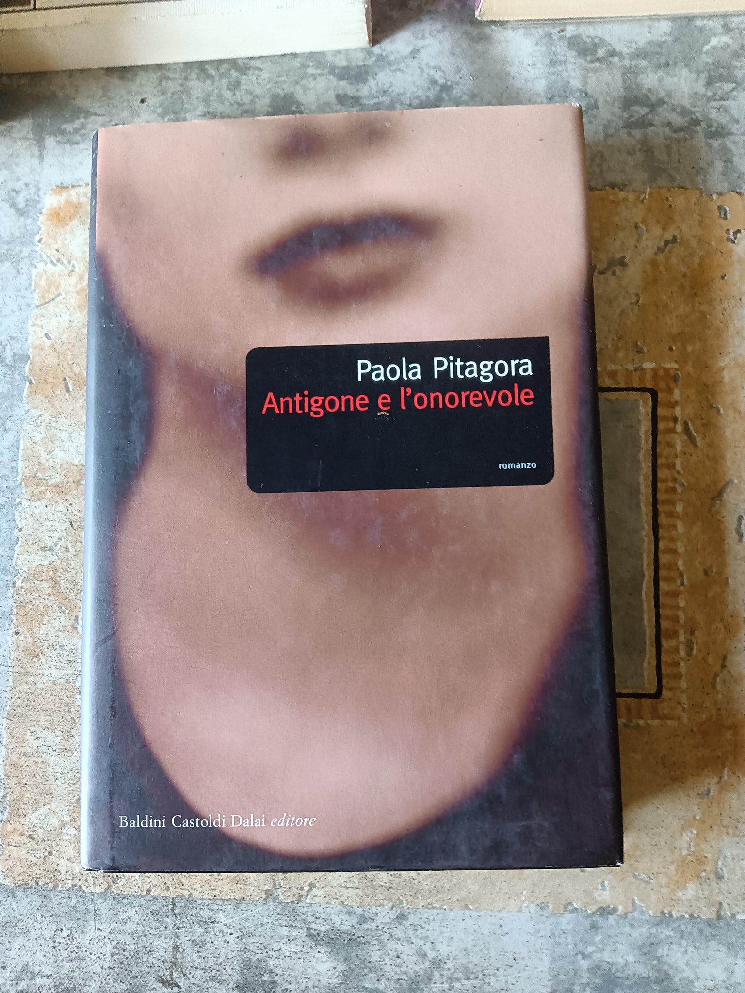 Antigone e l’onorevole | Paola Pitagora
