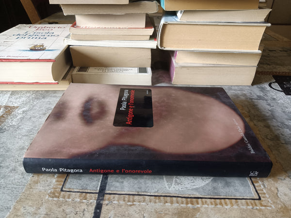 Antigone e l’onorevole | Paola Pitagora