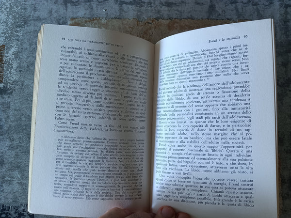 Che cosa ha veramente detto Freud | David Stafford-Clark