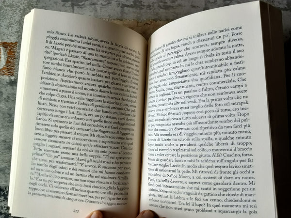 Io sono l’alfa | Ivan Sacchi