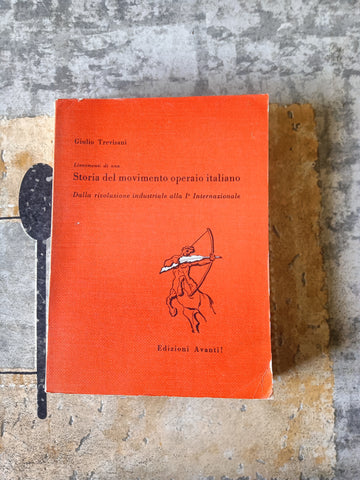 Lineamenti di una Storia del movimento operaio italiano. Dalla rivoluzione industriale alla I Internazionale | Giulio Trevisani