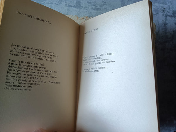 Monade. 33 Poesie del giudeo | Fery Folkel - Guanda