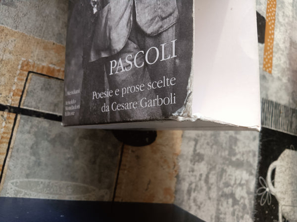Poesie e prose scelte da Cesare Garboli | Pascoli - Mondadori