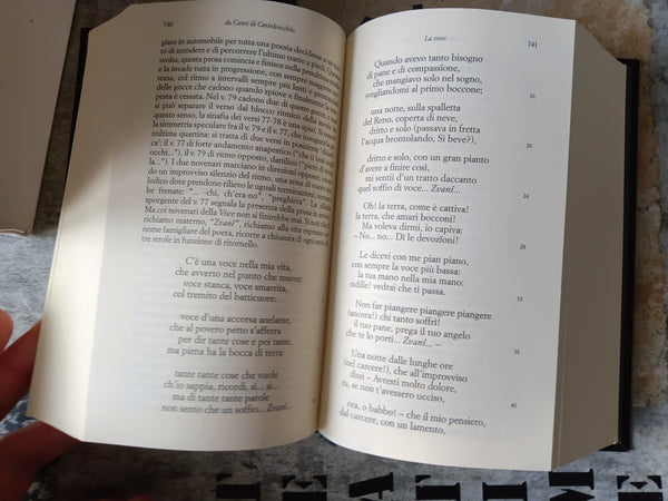 Poesie e prose scelte da Cesare Garboli | Pascoli - Mondadori