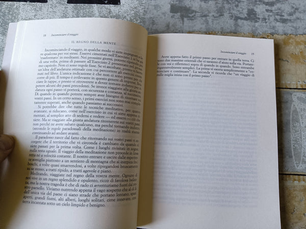 Gli elementi della meditazione. Per il benessere di mente e corpo | David Fontana