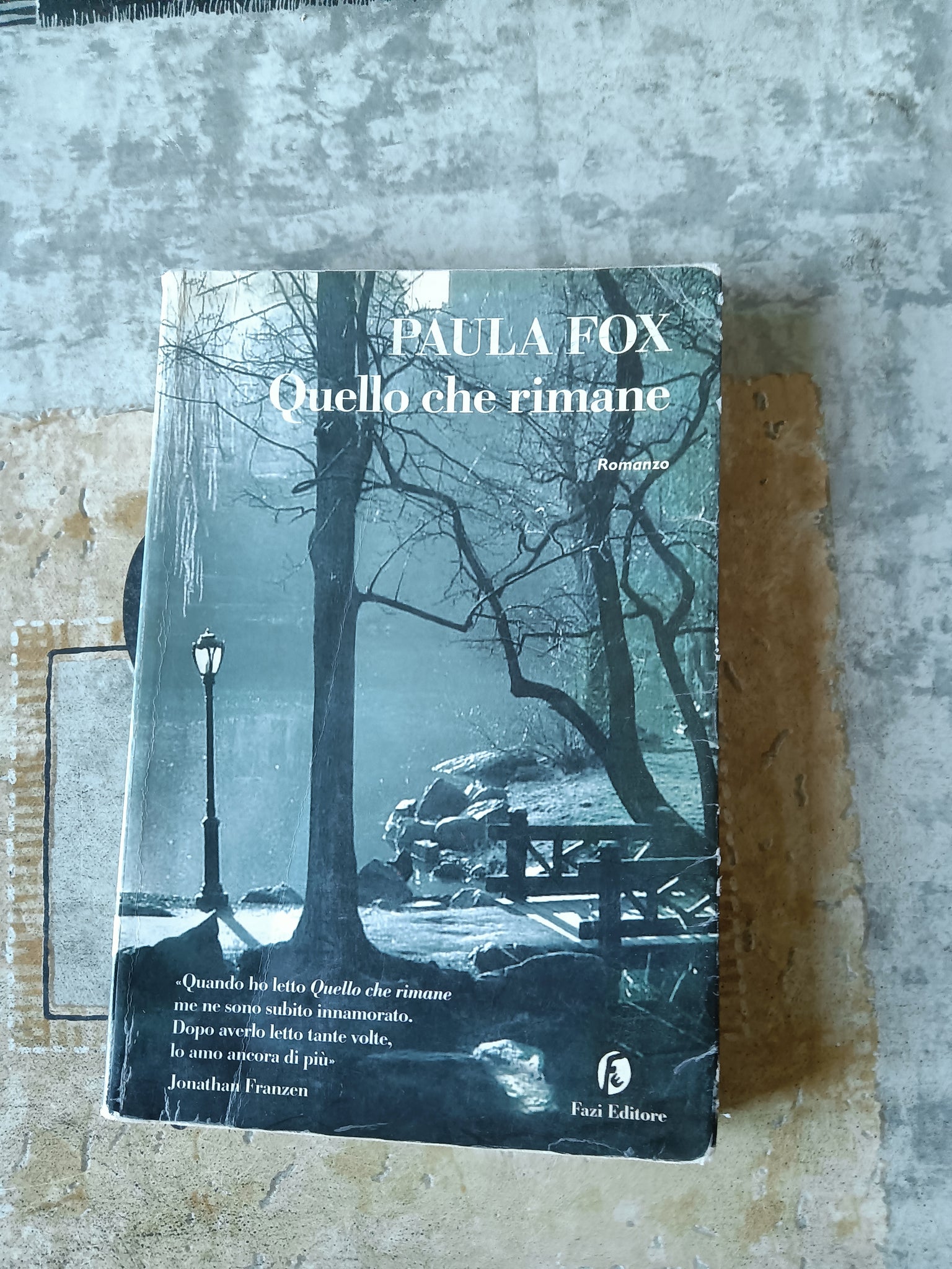 Quello che rimane | Paula Fox