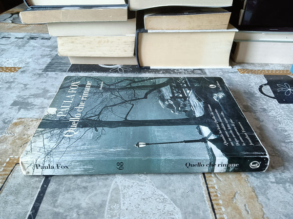 Quello che rimane | Paula Fox