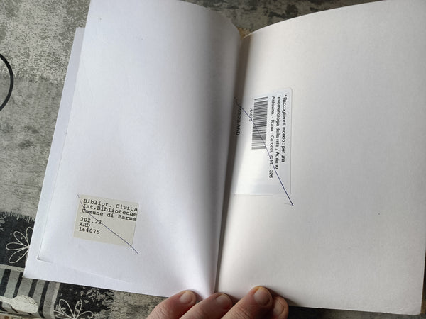 Raccogliere il mondo. Per una fenomenologia della Rete | Adriano Ardovino