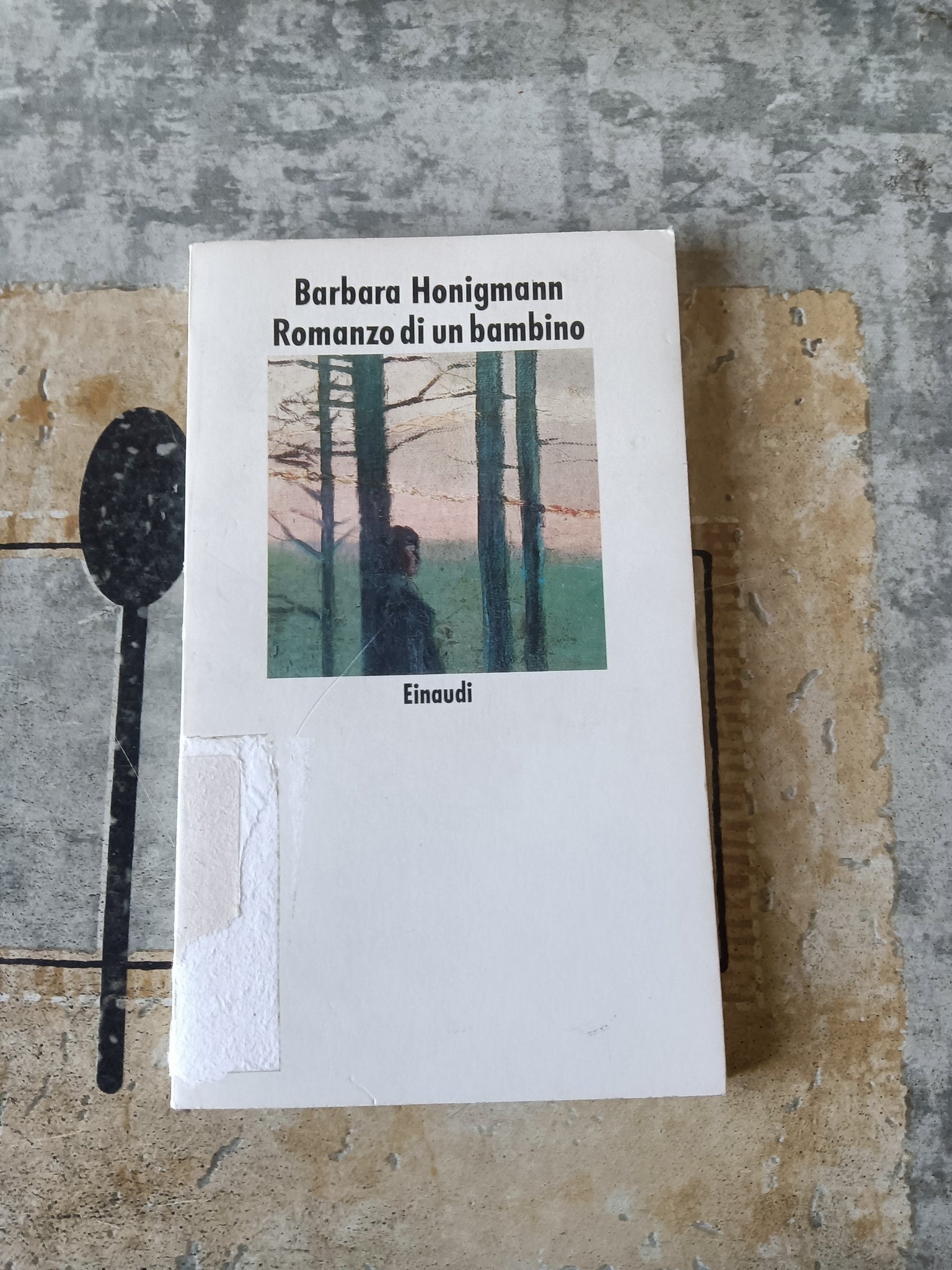 Romanzo di un bambino | Barbara Honigmann - Einaudi
